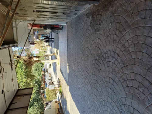 Vente Local Sidi Bel Abbès Sidi bel abbes