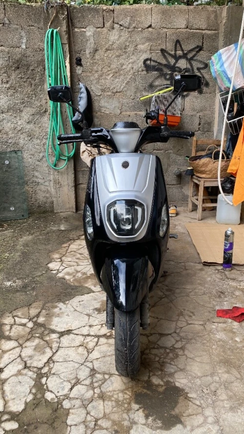 Vms Cuxi estate x 2023