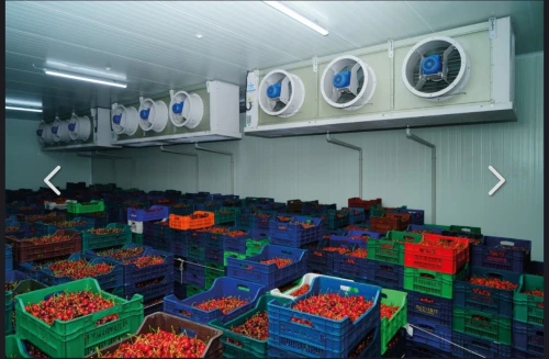 Chambres froides