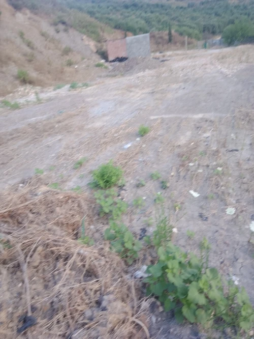 Vente Terrain Bouira Lakhdaria