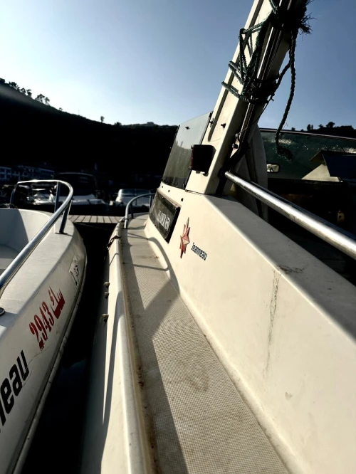 Janneau leader 650 ( moteur yamaha 250)