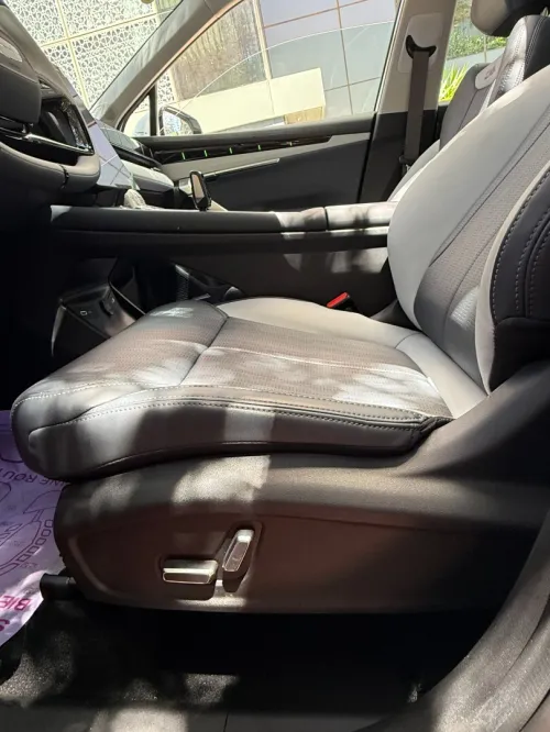 Geely Starray 2026 L luxury