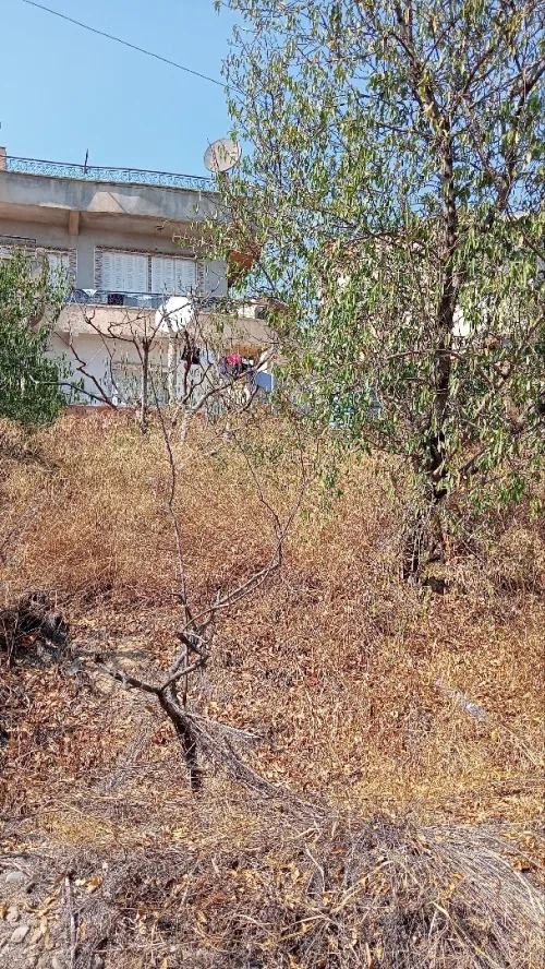 Vente Villa Alger Saoula