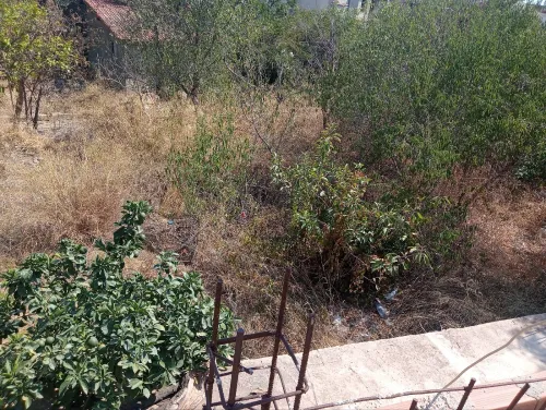 Vente Villa Alger Saoula