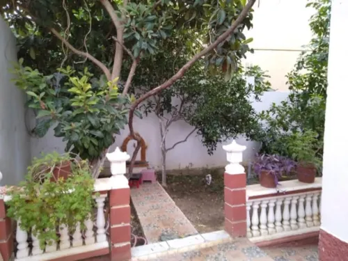 Vente Villa Souk Ahras Souk ahras