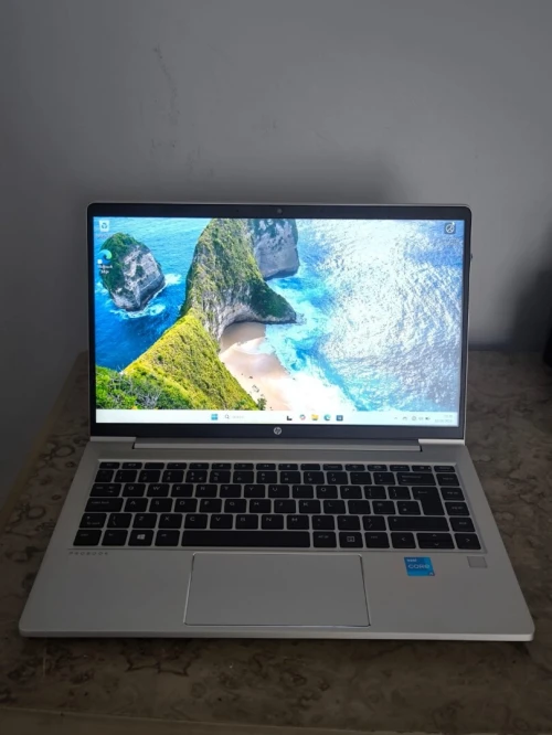 HP ProBook 440 G8 Notebook - 14" - Intel Core i5 - 1135G7  2.40GHz - 24 GB RAM - 256 GB SSD NVMe