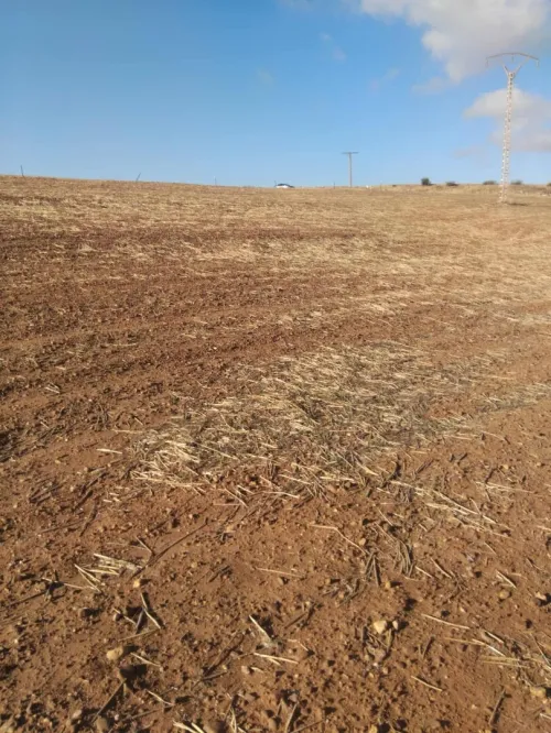 Vente Terrain Aïn Defla Djendel