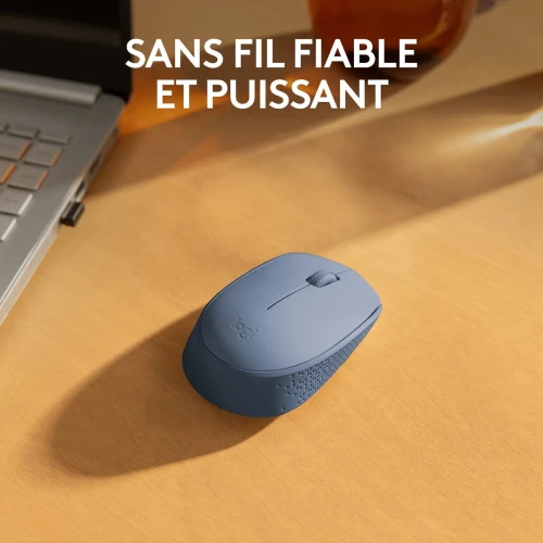 Logitech M171 Wireless Mouse (Bleu Gris) Souris sans fil - ambidextre - capteur optique - 3 boutons