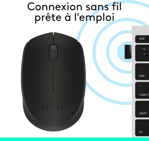 Logitech M171 Souris sans Fil pour PC, Mac, Ordinateur Portable, 2,4 GHz avec Mini-récepteur USB,