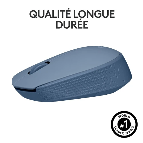 Logitech M171 Wireless Mouse (Bleu Gris) Souris sans fil - ambidextre - capteur optique - 3 boutons