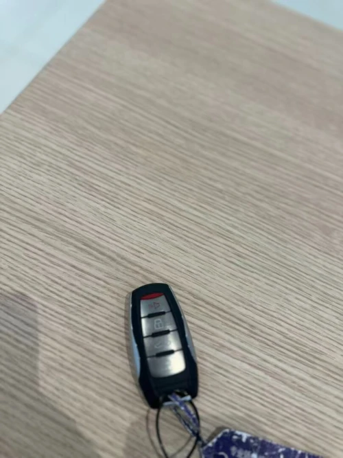 Great Wall Haval big dog 2025 مجمولة La toutes Options labrador edition