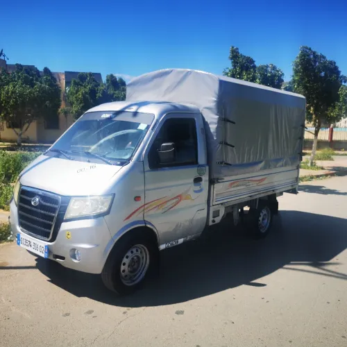 Gonow Mini trucs 2016 2'50