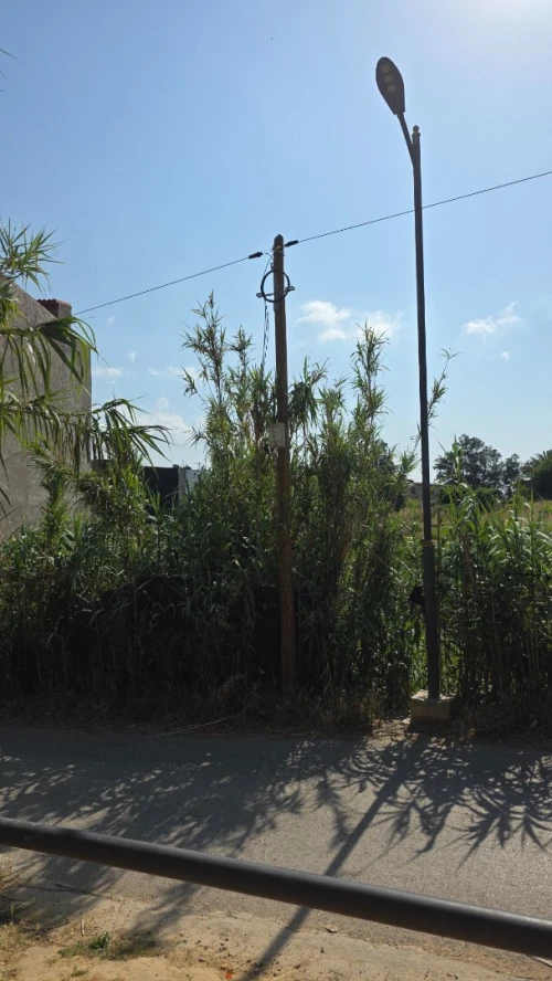 Vente Terrain Alger Mahelma