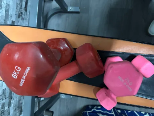 Équipement de musculation 