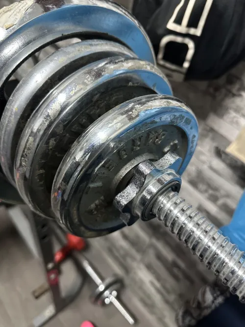 Équipement de musculation 