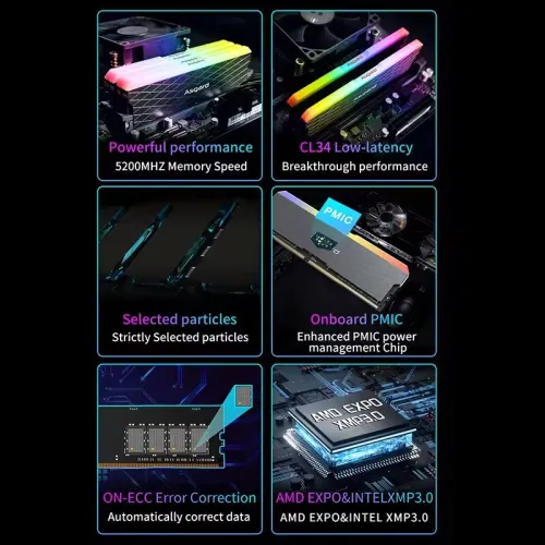 asgard ddr5 et cusu ddr4