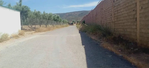 Vente Terrain Agricole Tlemcen Ouled mimoun 2