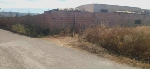 Vente Terrain Agricole Tlemcen Ouled mimoun 9