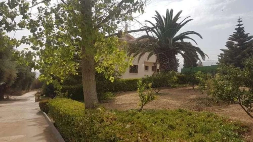 Location vacances Villa Tlemcen Tlemcen