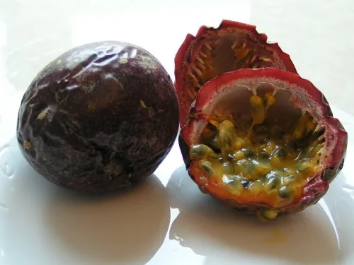 Fruit de la passion