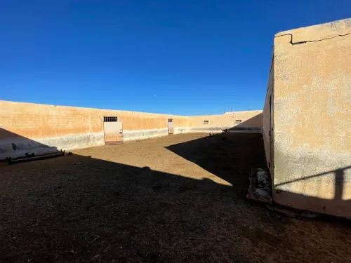 Vente Terrain Agricole Djelfa Djelfa