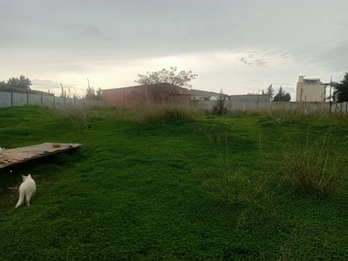 Vente Terrain Alger Birkhadem