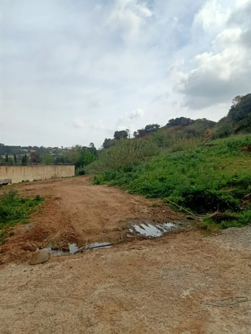 Vente Terrain Alger Cheraga