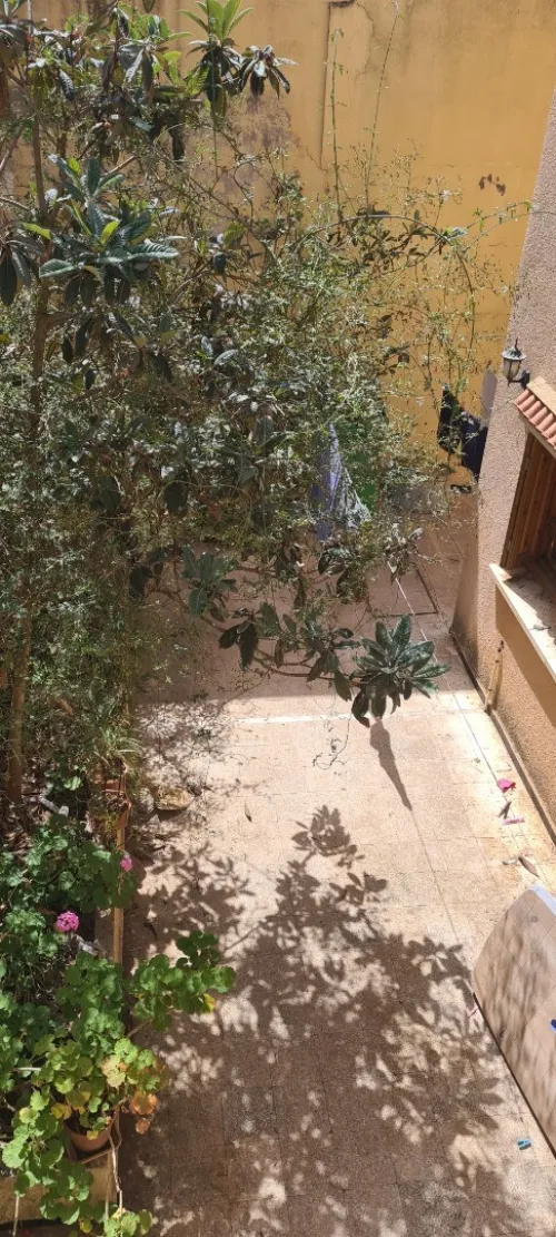 Vente Terrain Alger El mouradia