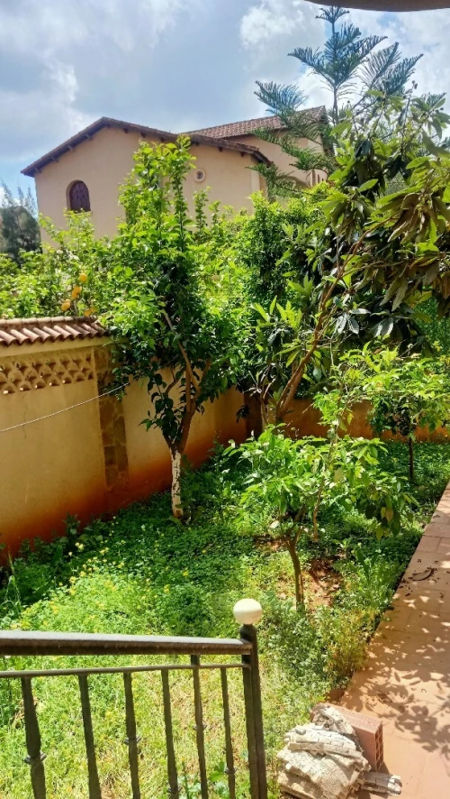 Location Villa Alger Birkhadem