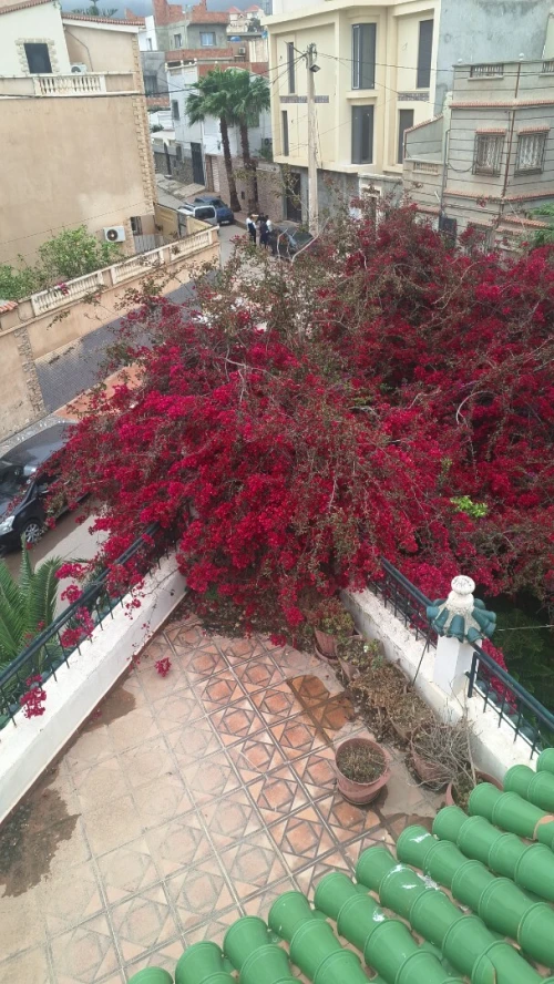 Vente Villa Oran Ain el turck
