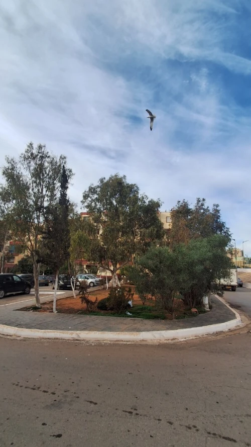Vente Appartement F4 Oran Oran
