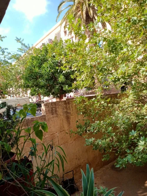 Vente Appartement F2 Alger El madania
