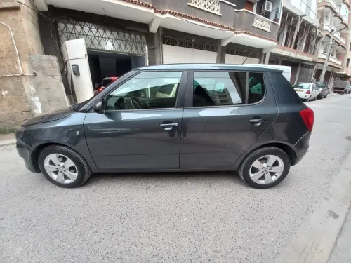 Skoda Fabia 2014 Fresh