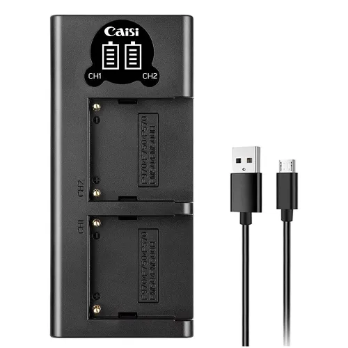 Chargeur Batterie Dual CAISI CS-NP F970/F750/F550/FM50/FM500H ( TYPE-C / MICRO-USB )