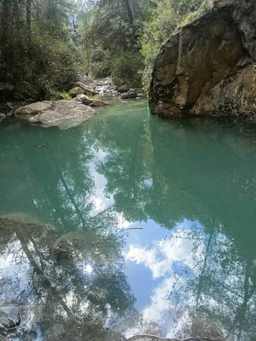 Vente Terrain Blida Hammam melouane