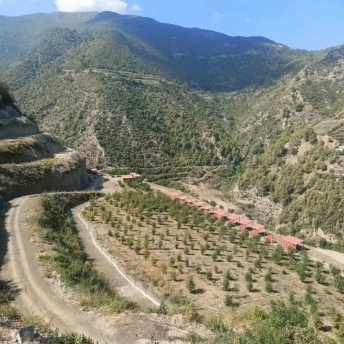 Vente Terrain Blida Hammam melouane