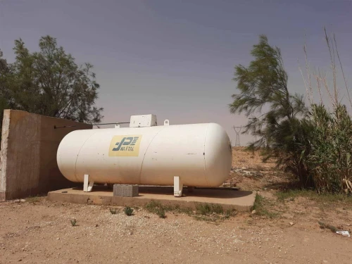 Vente Terrain Agricole Djelfa Tadmit