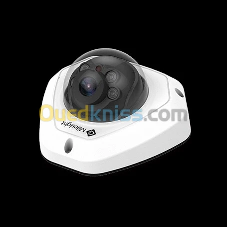 Caméra de surveillance MILESIGHT