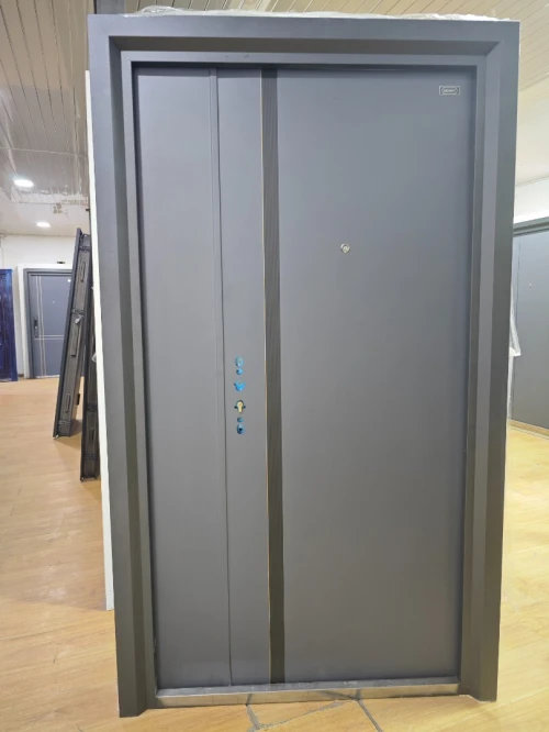 Porte metallique lourde, Porte d'entree, porte logment