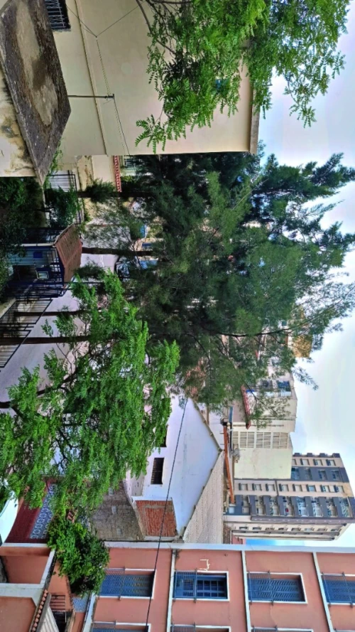 Location Appartement F4 Blida Blida