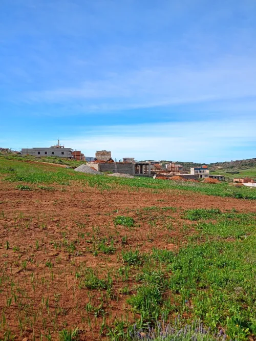 Vente Terrain Tlemcen Honaine