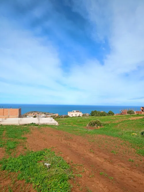 Vente Terrain Tlemcen Honaine