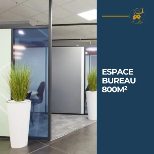Location Immeuble Alger Ben aknoun