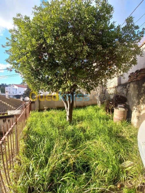 Location Villa Alger El biar