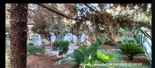 Vente Terrain Alger Birkhadem