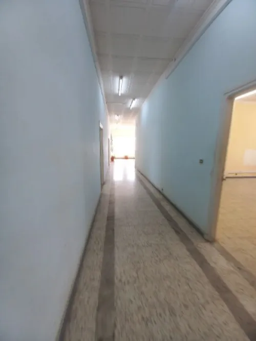 Vente Hangar - Usine Alger Rouiba