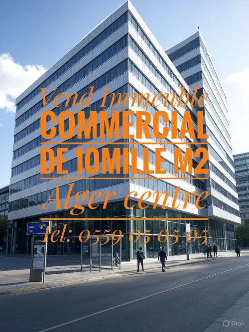 Vente Immeuble Alger Alger centre