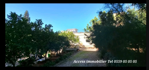 Vente Terrain Alger Birkhadem