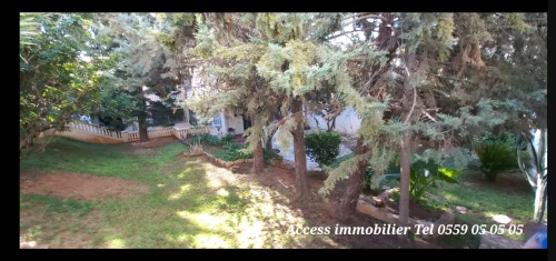 Vente Terrain Alger Birkhadem
