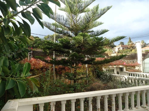 Location Villa Alger Hydra
